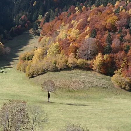 路易莎公寓 * Bagnères-de-Luchon
